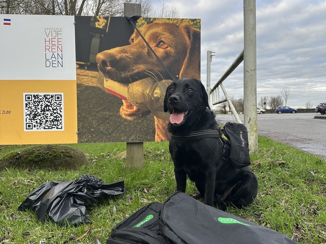 Een zwarte labrador met een Enjoycleaningup-tas naast een opruimbord